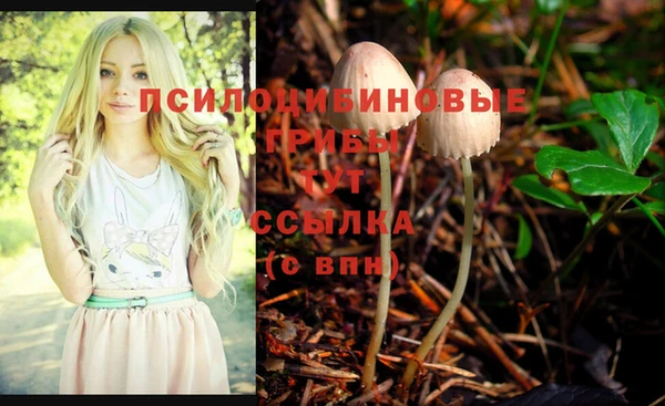 прущая мука Алзамай