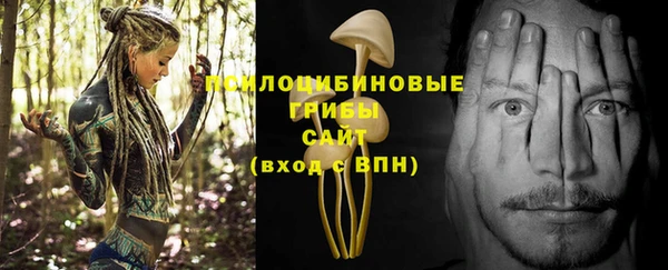 прущая мука Алзамай