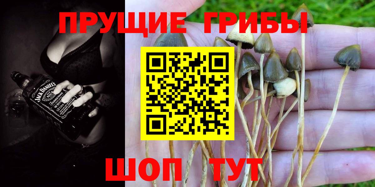 Псилоцибиновые грибы мухоморы Лесосибирск
